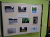 Projektwoche10