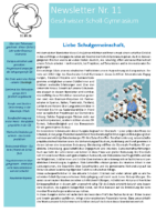 Newsletter 11