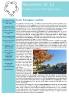 Newsletter 13